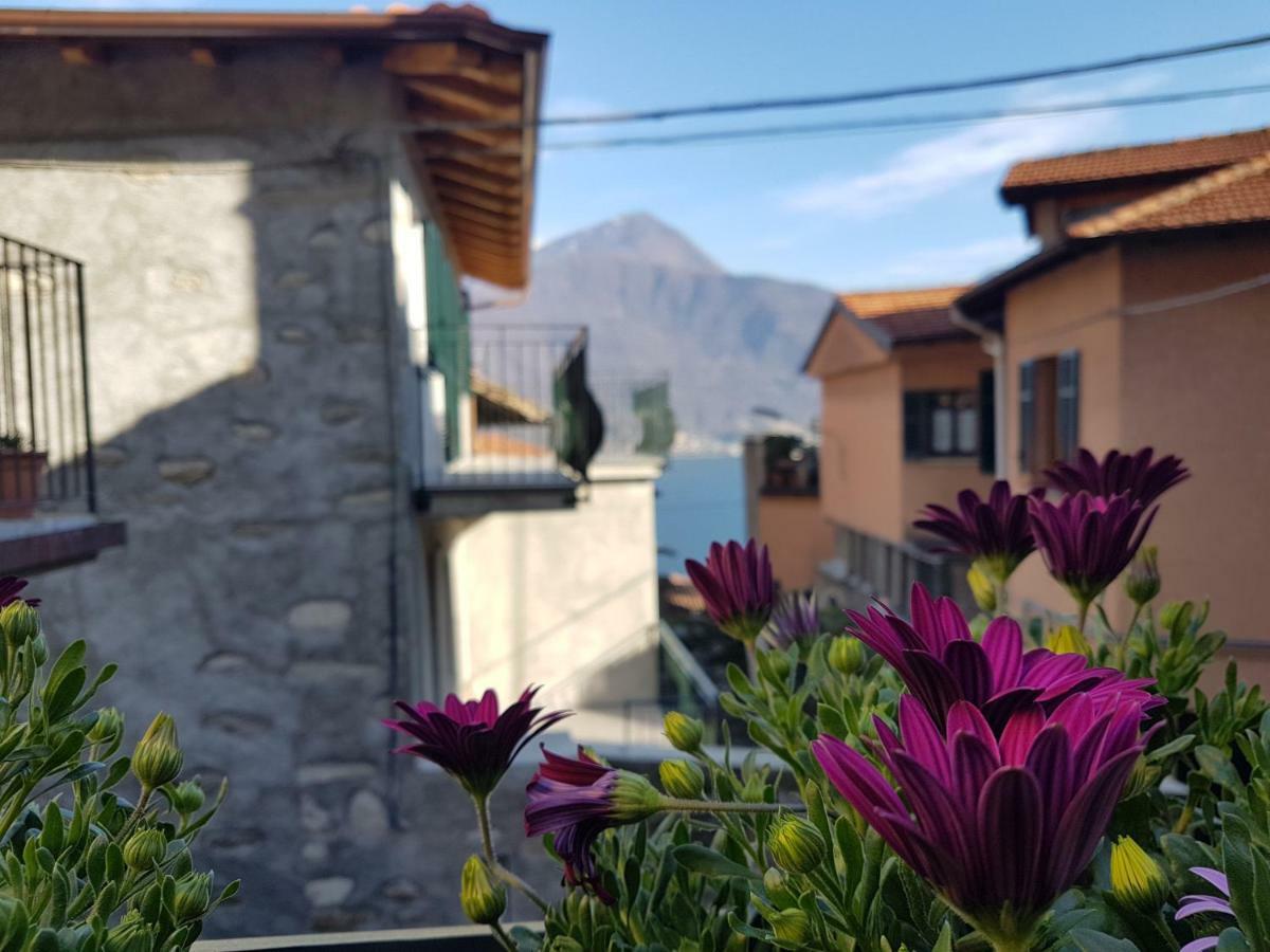 Il Torchio Villa Musso Exterior photo
